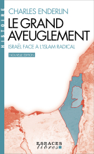 Couverture de Le Grand Aveuglement (nouvelle édition augmentée) (poche)