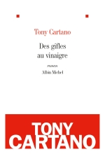 Couverture de Des gifles au vinaigre